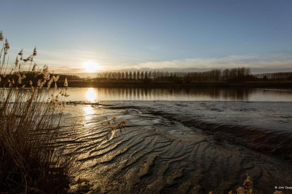 Amand'Eau - Zwemvijver, Zonneterras, Grote Tuin Sint-Amands Dış mekan fotoğraf