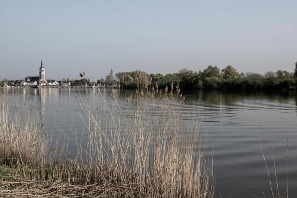 Amand'Eau - Zwemvijver, Zonneterras, Grote Tuin Sint-Amands Dış mekan fotoğraf